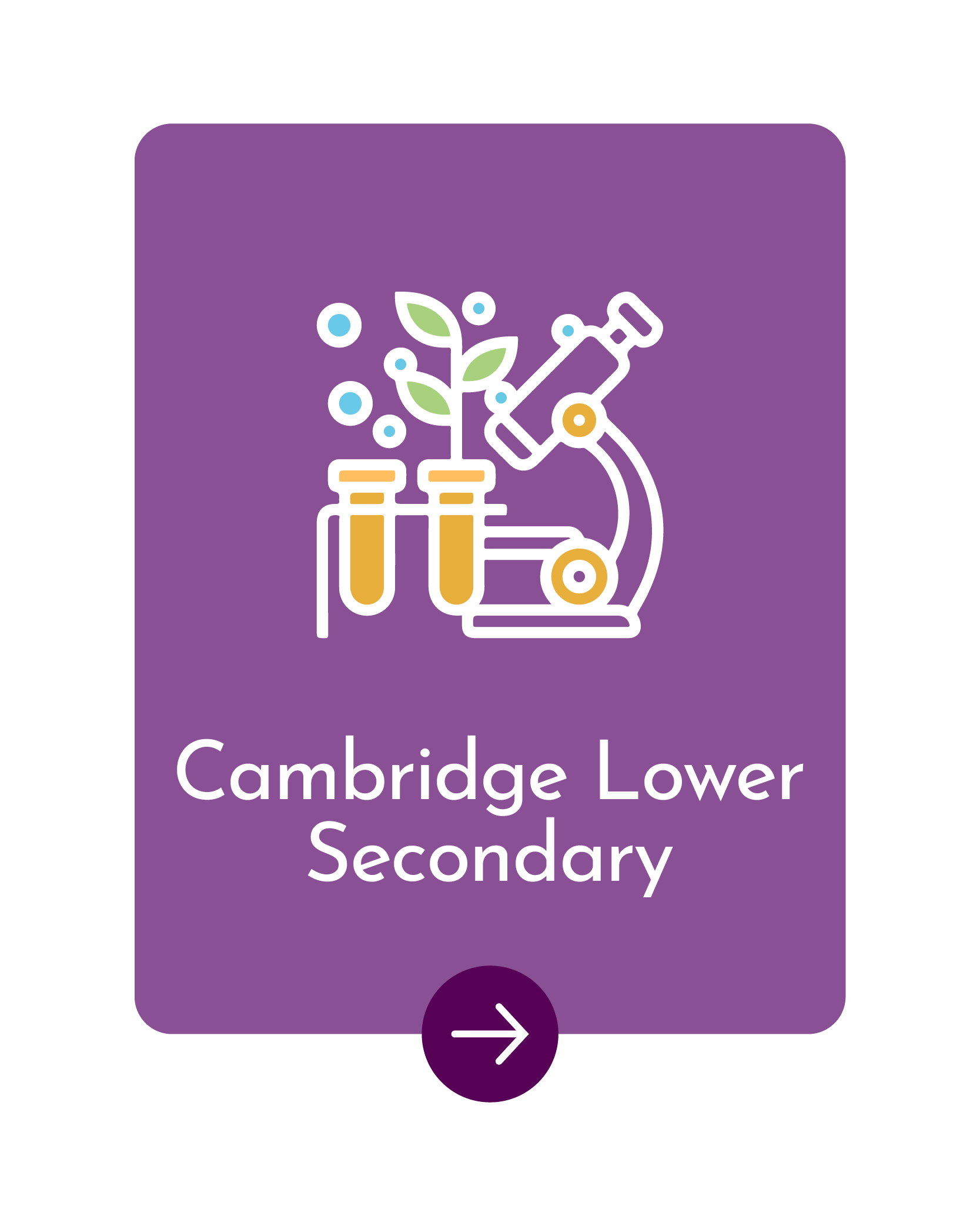 BGS HIGH Cambridge International Secondary