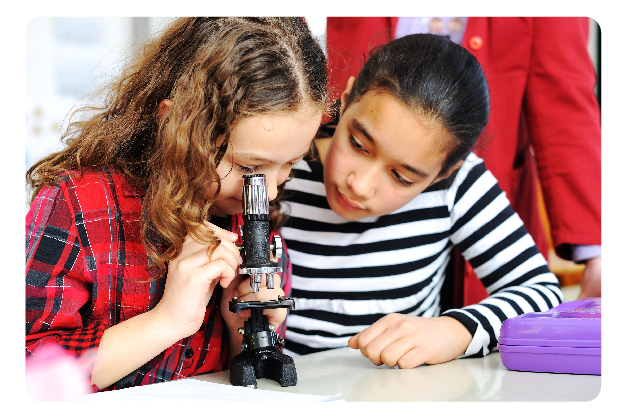 Cambridge Lower Secondary Science